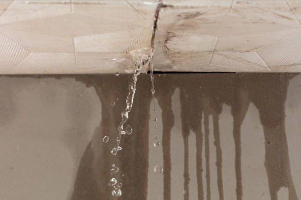 Professional Sewage Cleanup technician working in Cañon City, CO